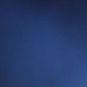 Meet your Posher, Leonardo